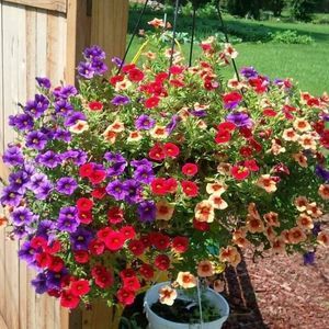 Meet your Posher, Cathy